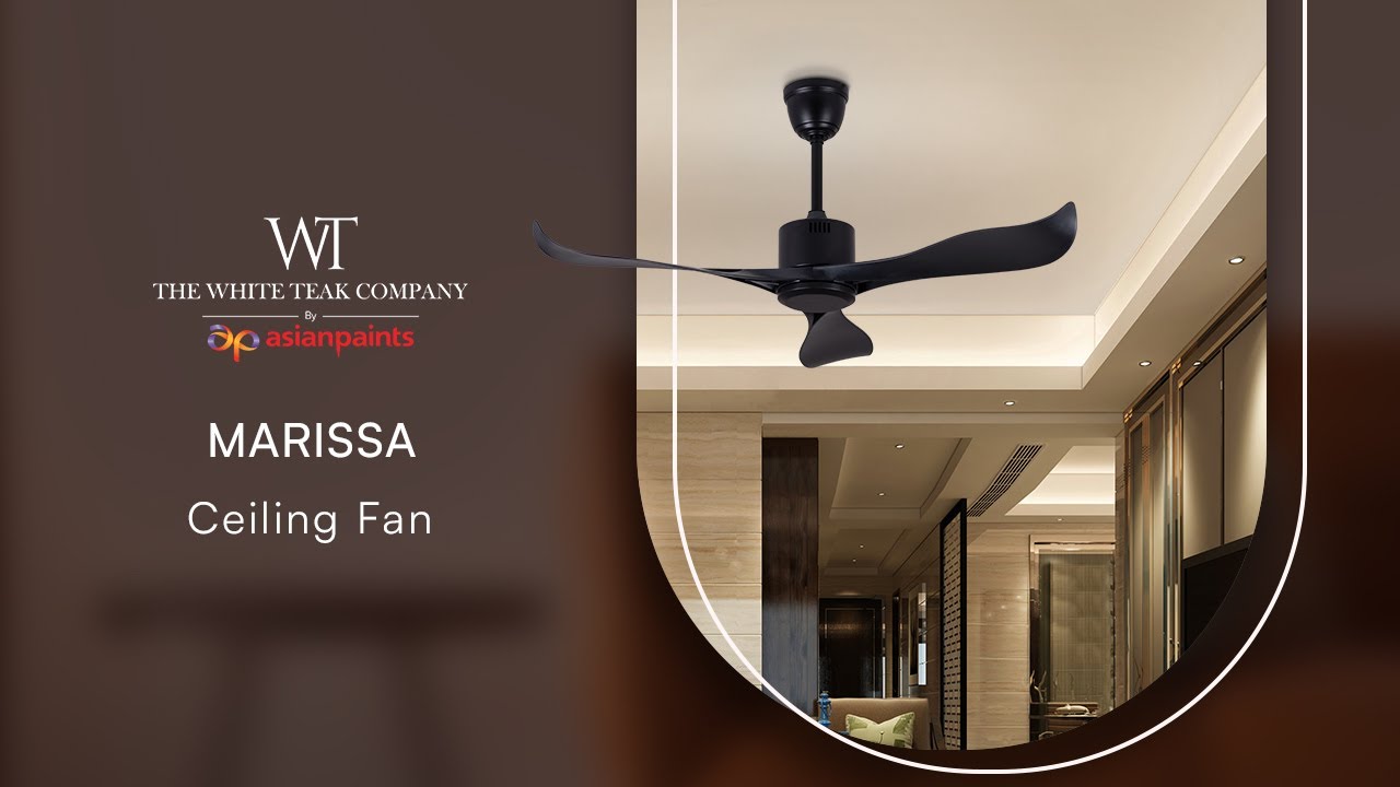 Marissa Black Finish Metal Body, Black Finish ABS Blades Ceiling Fan | White Teak by Asian Paints