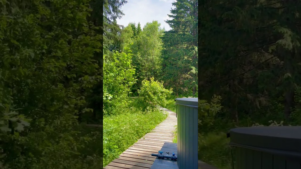 Проведи жаркие выходные в прохладном лесу Private-forest.ru