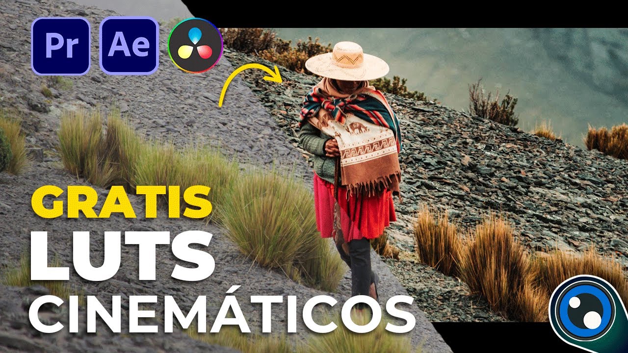 LUTS GRATIS ¿Cómo USAR LUTS en Premiere Pro? / Tutorial