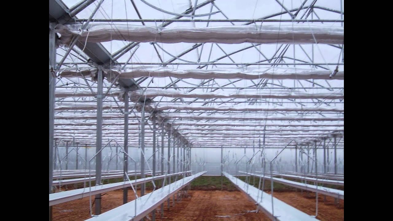 Sere profesionale  : www.sere-romania.ro   &     www.europrogress.it