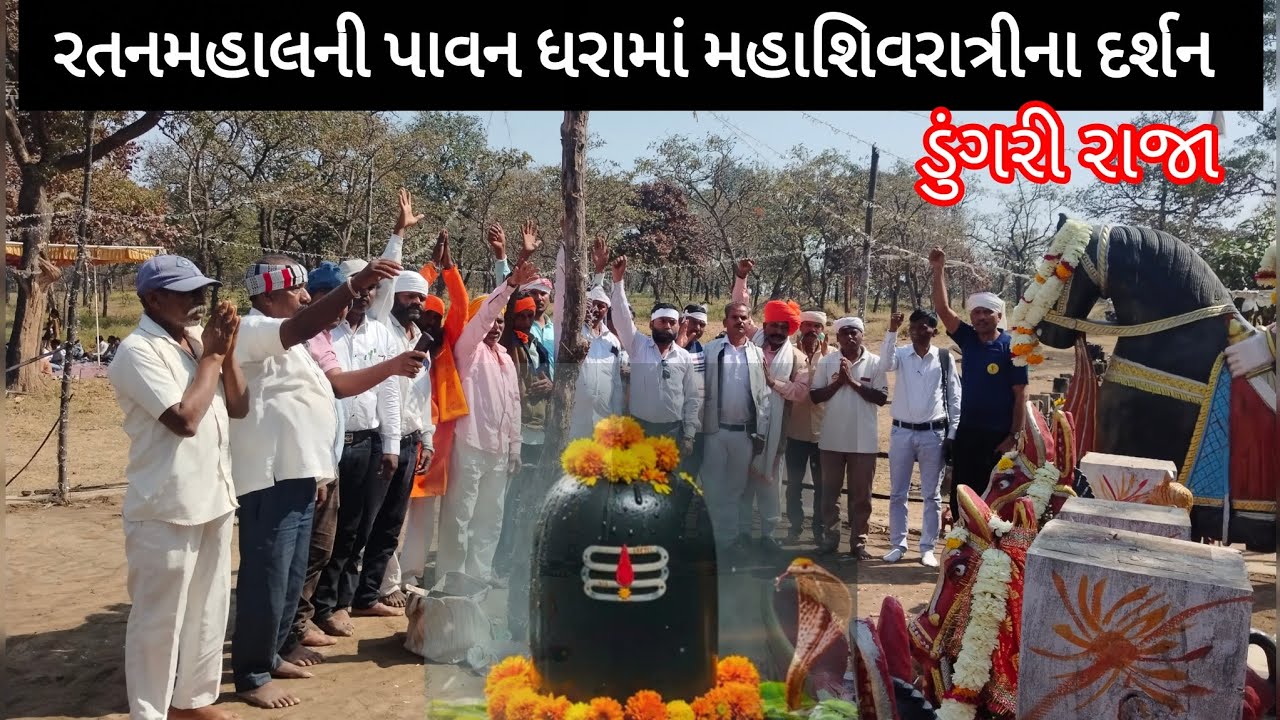  રતનમહાલની પાવન ધરામાં મહાશિવરાત્રીના દર્શન//ડુંગરી રાજા//#mahashivratri #ratanmhal/15 February 2026