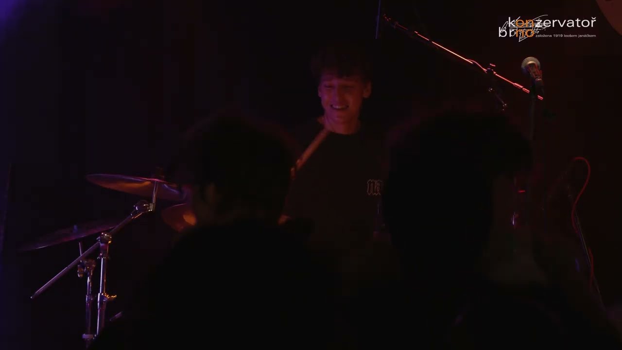 Snarky Puppy: What About Me? - Roman Motičák