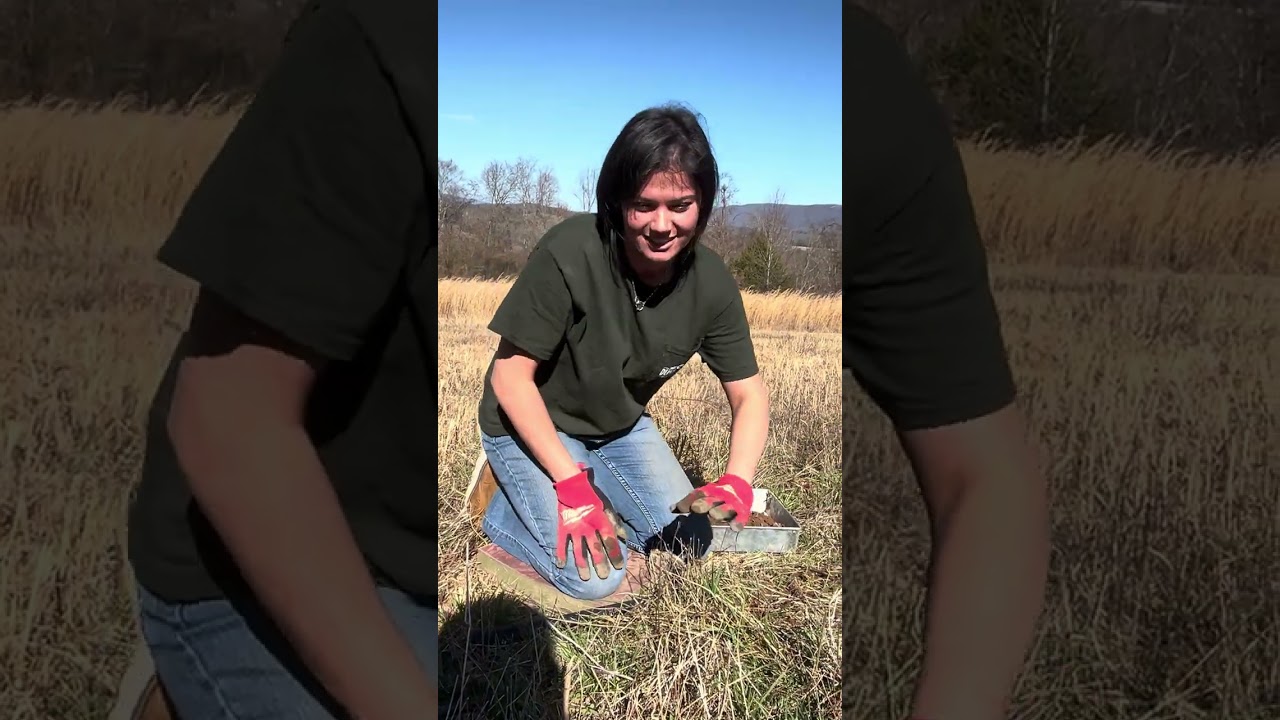 Setting foot traps !! As a BEGINNER !!! 