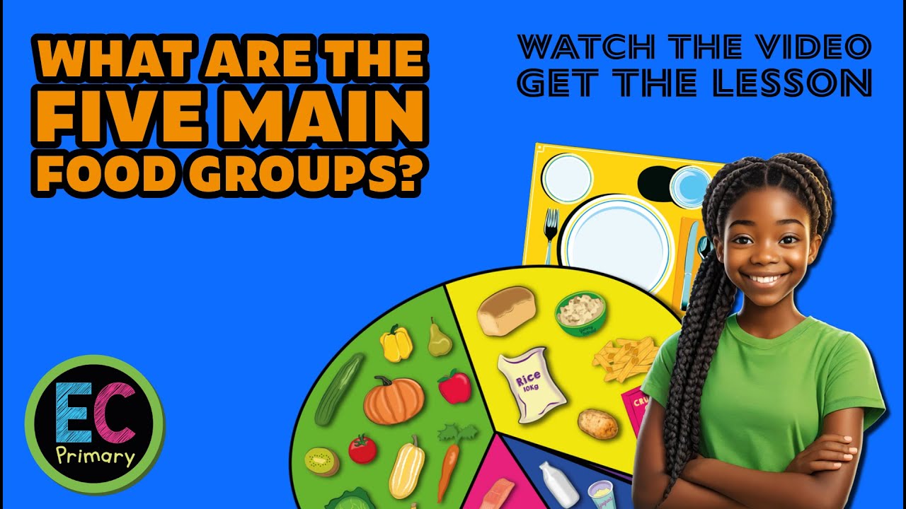 FOOD GROUPS...What Should I Eat to Be Healthy? | EC PSHE