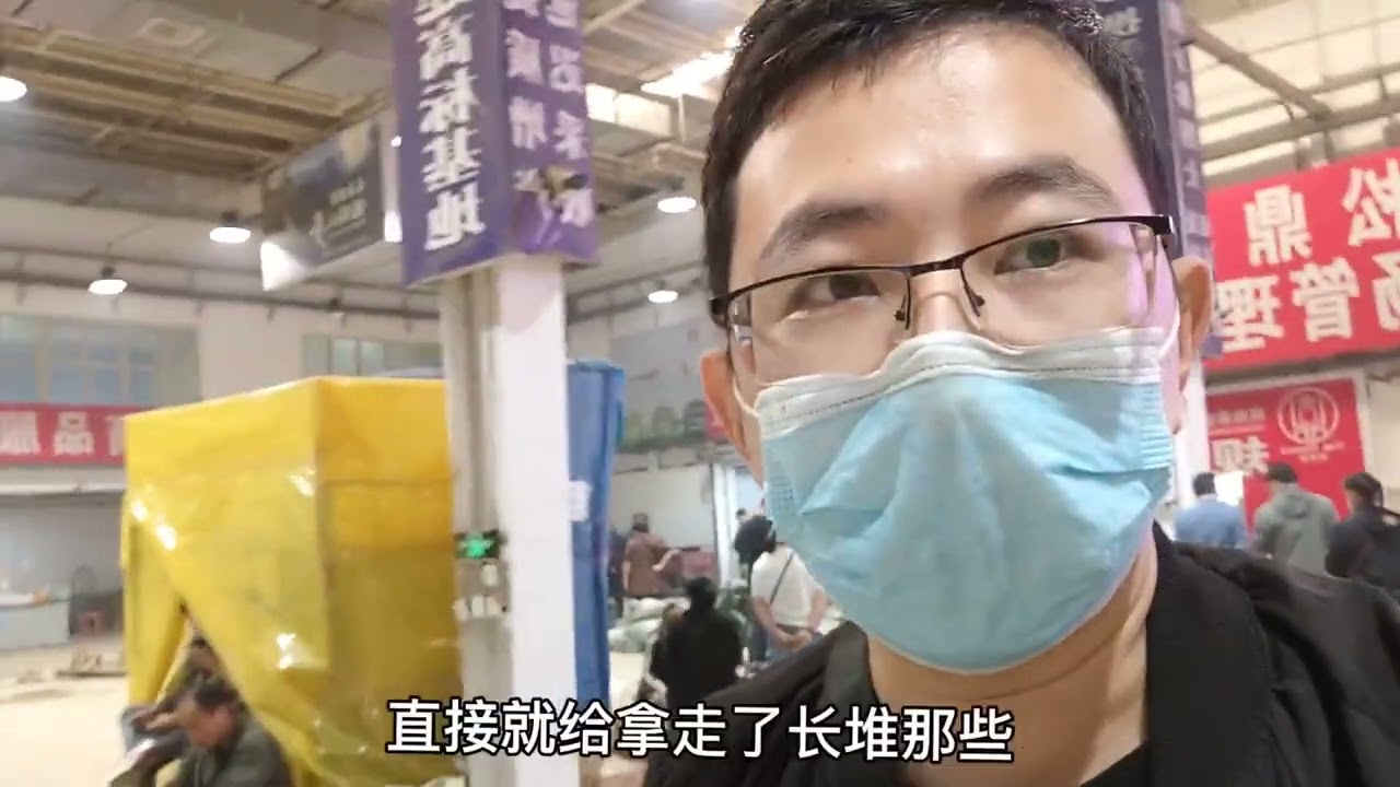 种植的园参和林下参有啥区别，吃哪个营养价值高，老龚哥教你选择 #林下参 #日常 #日常vlog
