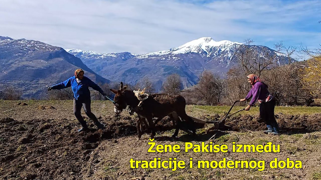 Albanija: Žene Pakise Između Tradicije i Modernog Doba