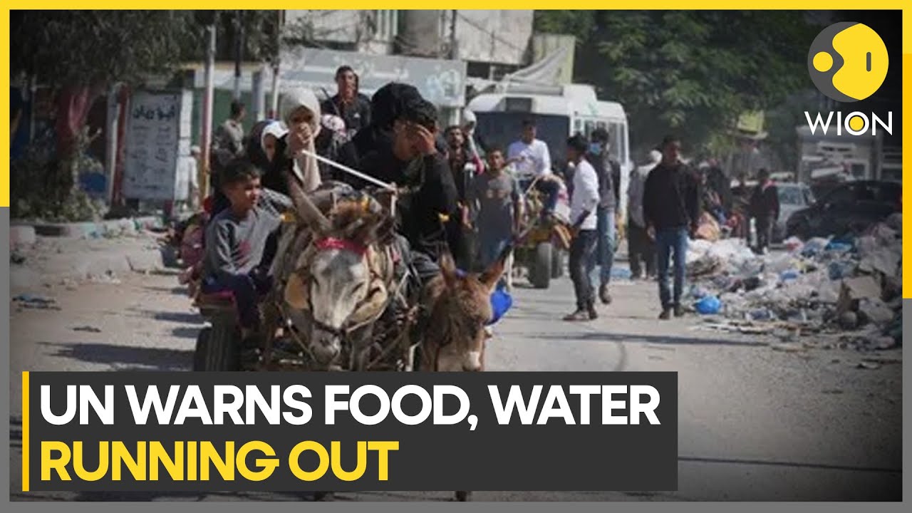 Israel-Palestine war: Impossible to move 1.1 MN people to Southern Gaza | WION