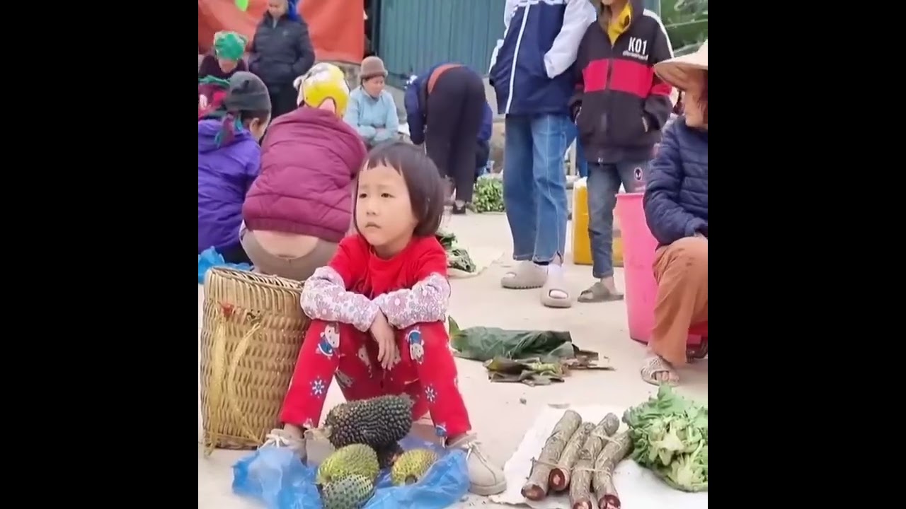 Poor Girl Picks Fruits to Sell at the Market | Emotional Story #Ep01 || Subscribe for Ep02
