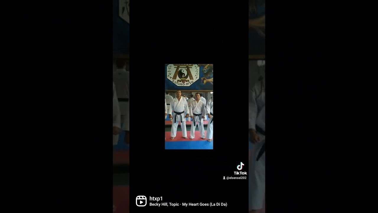 haciendo mi arte karate do Shuri-Ryu