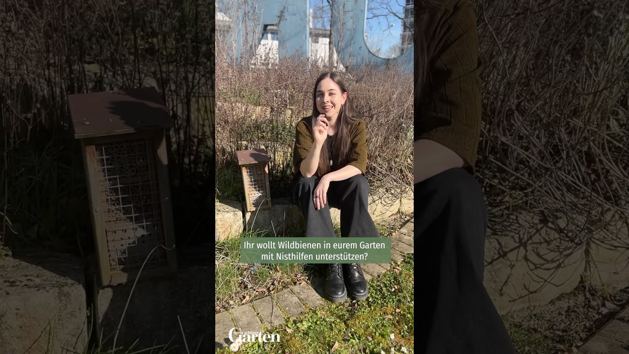 No Gos bei Wildbienen-Nisthilfen 🐝🚫 #bienen #insekten #meinsch&ouml;nergarten