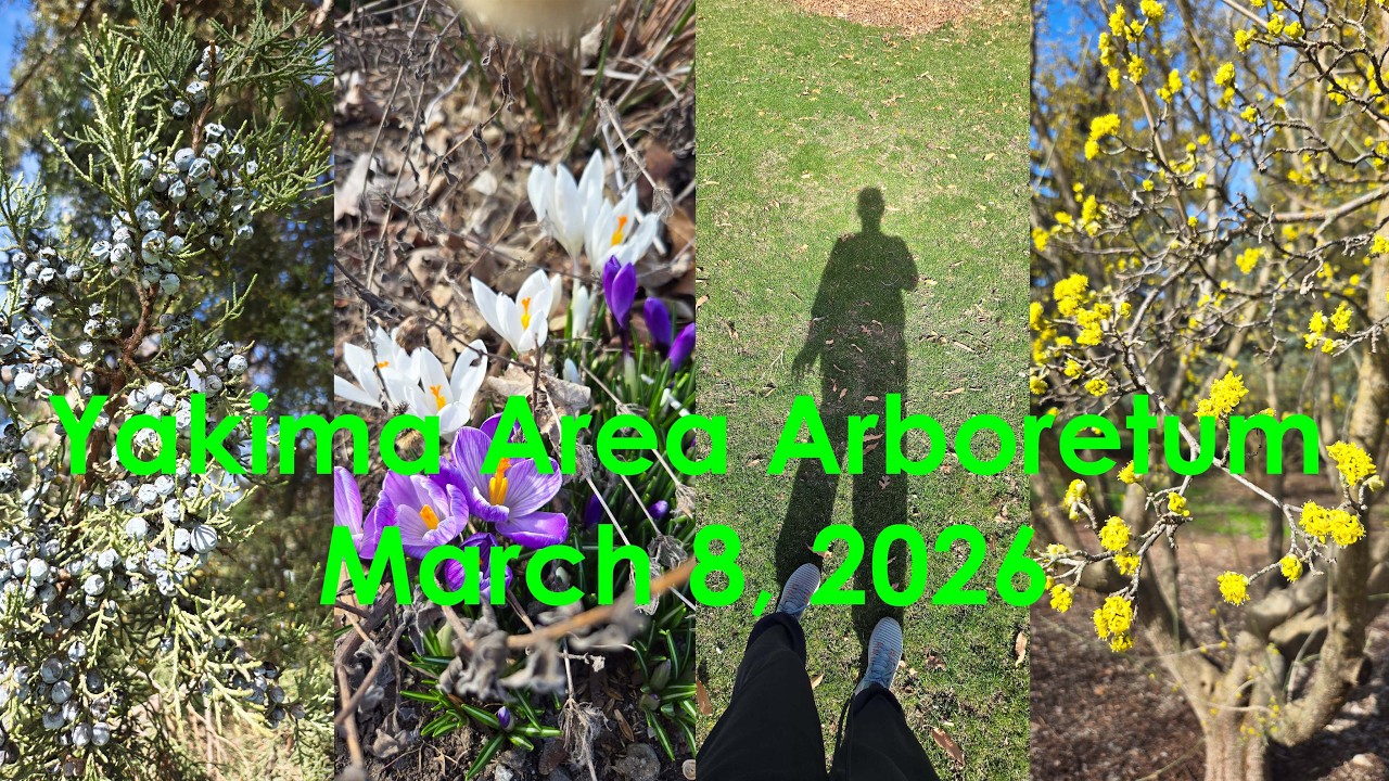 MARCH 2026: YAKIMA AREA ARBORETUM WALK