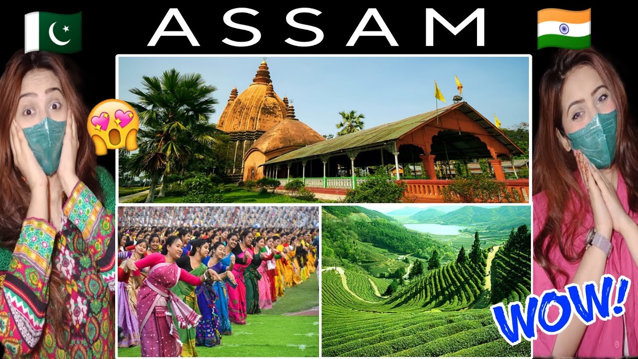 Pakistani Reaction on Assam North East India😍 | Beautiful Indian Places