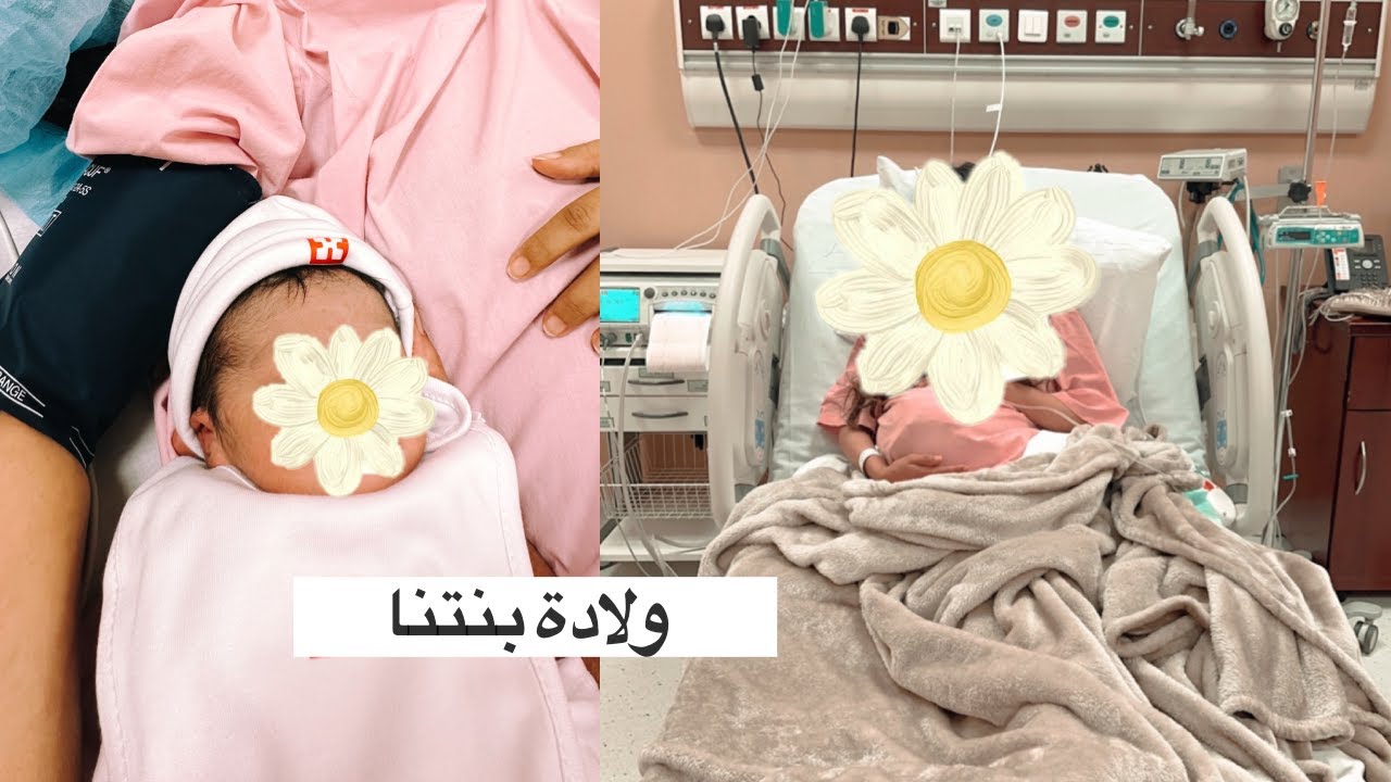 ڤلوق الولادة : لحظات صعبة وبداية حياة جديدة 🥹❤️🤱🏻