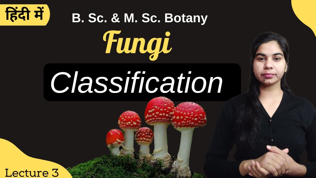Fungi || Classification || in Hindi || Botany || B. Sc. & M. Sc.