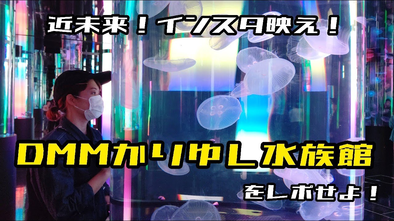 【沖縄新スポット】【DMMかりゆし水族館】が近未来的だった！（巨大ダイオウイカに恐怖🦑）