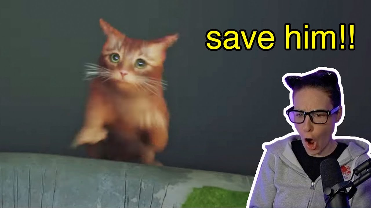THE CRUELEST VIDEO GAME TO CAT OWNERS😿 (Stray) - Simply Stream Highlights