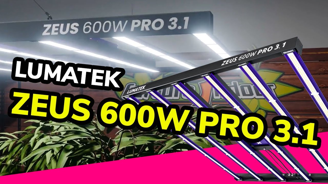 Lumatek Zeus 600W Pro 3.1