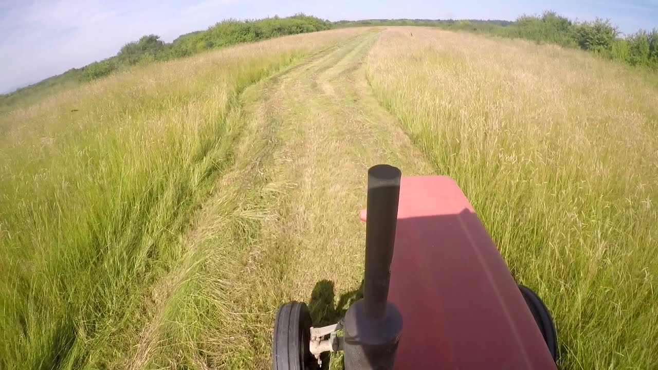 Pogled s kabine / Gopro / Košnja sijena / Wirax z-069 / Zetor 3511