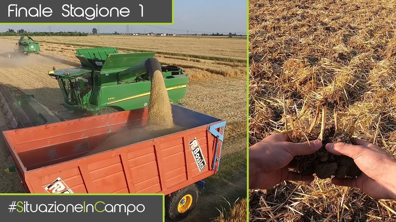 Situazione In Campo EP 4 - LA PEGGIORE ANNATA DELL' AZIENDA! | Trebbiatura 2019