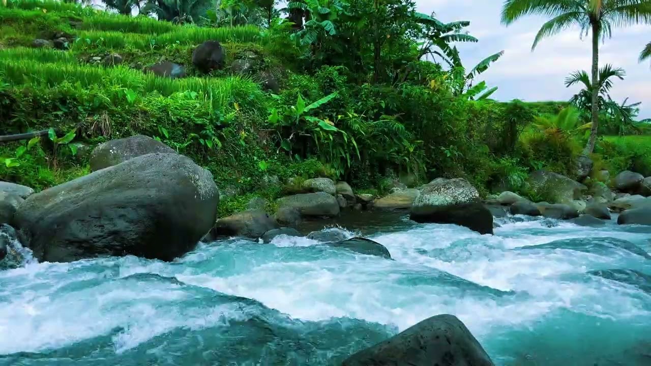 Fall Asleep Fast with Gentle River Sounds | Natural White Noise for Insomnia Relief