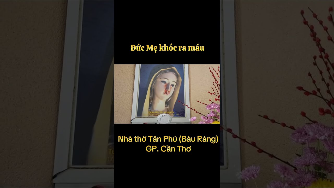 Đức Mẹ Maria khóc ra máu