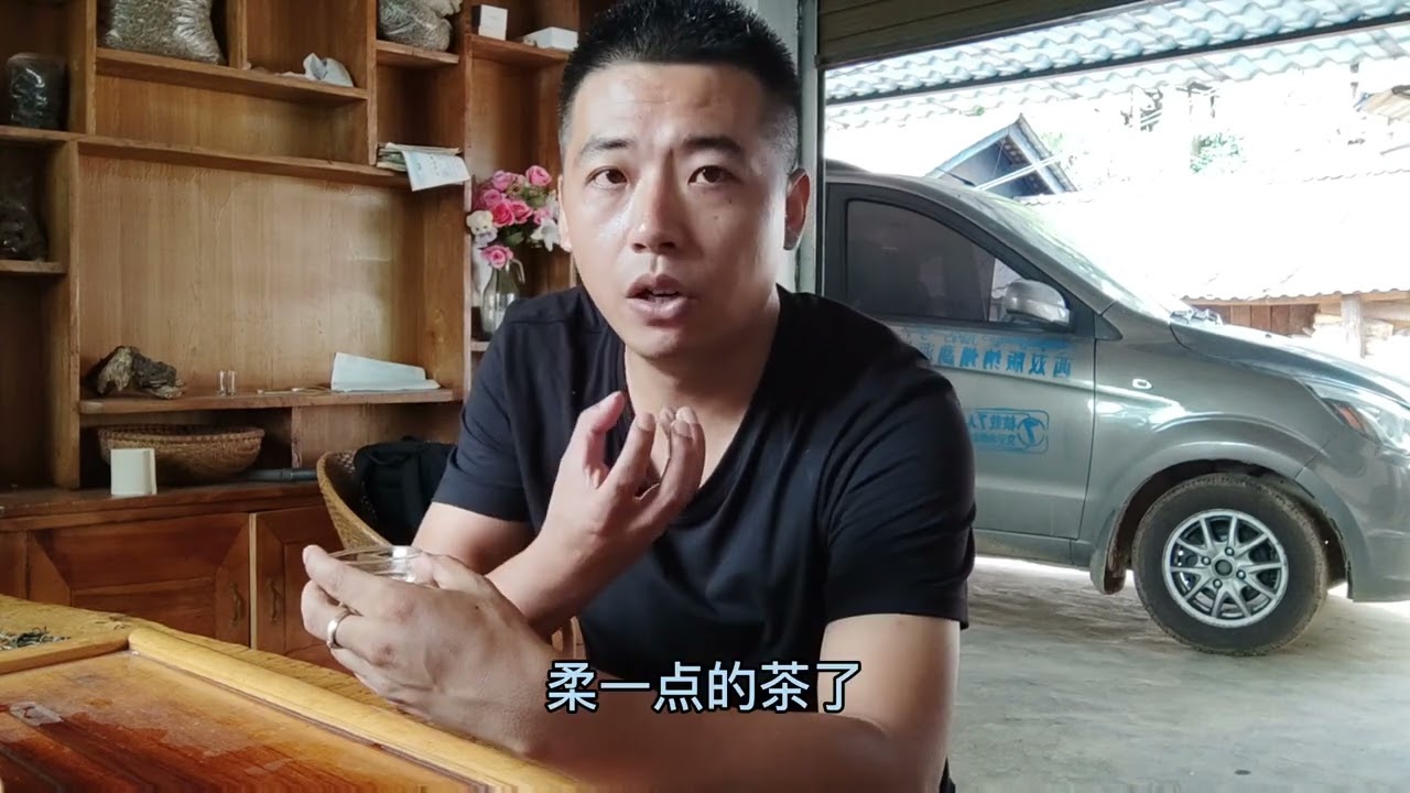 版纳之巅滑竹梁子，保塘旧寨大古树较多，西宝8号古树春茶五万！