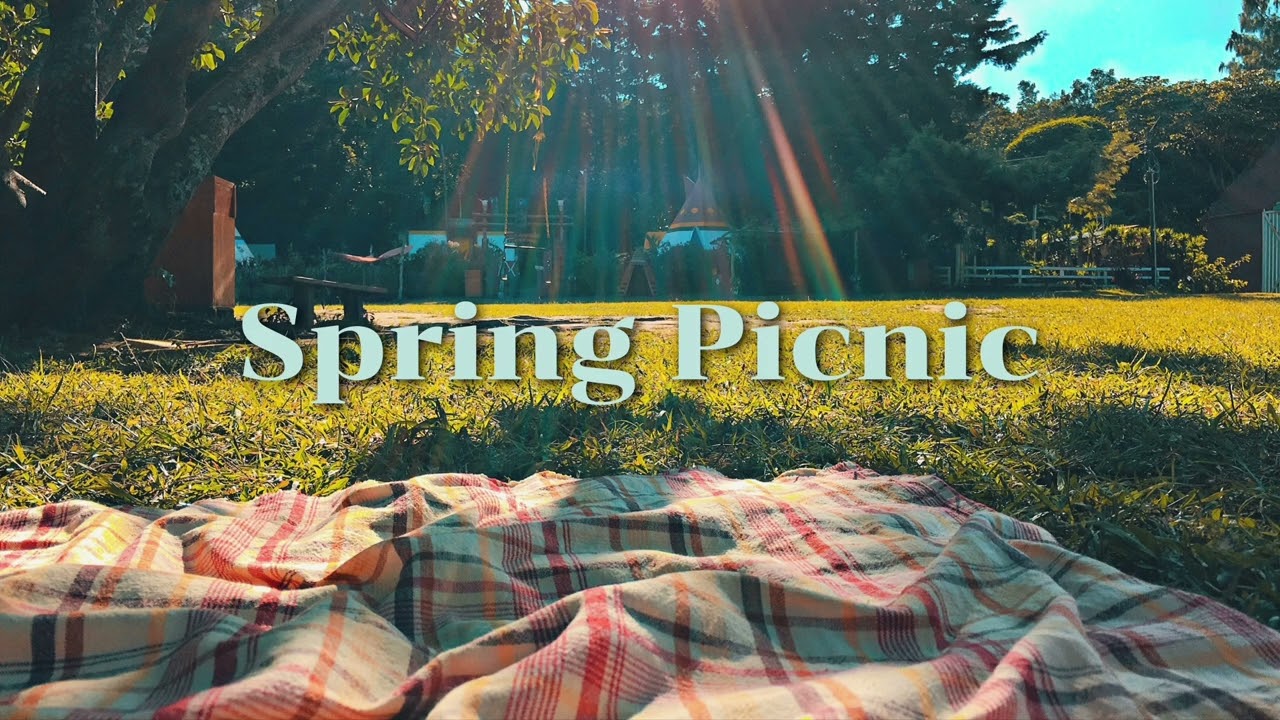 Spring Picnic Music Time | Warm, Soft, Joyful Mood #music #playlist