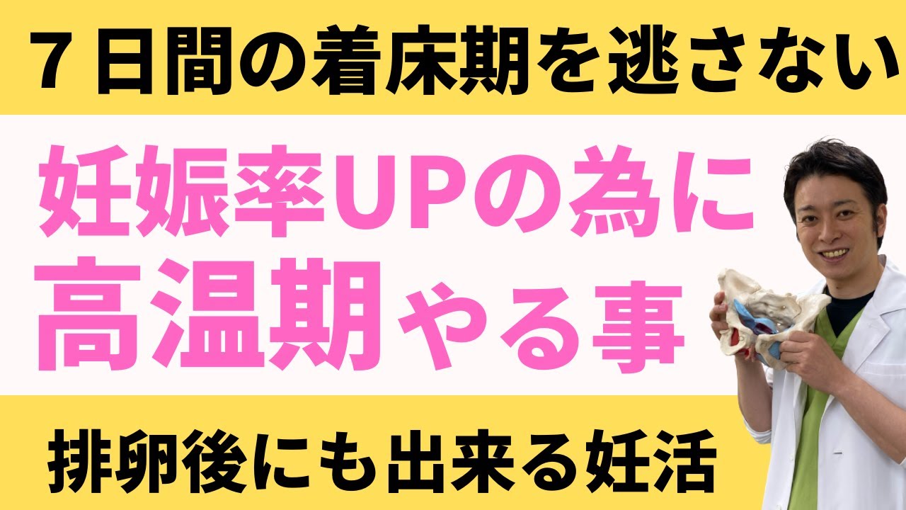 【排卵～着床までの7日間】妊娠率を上げるタイミング後（高温期）の過ごし方【妊活不妊治療情報】