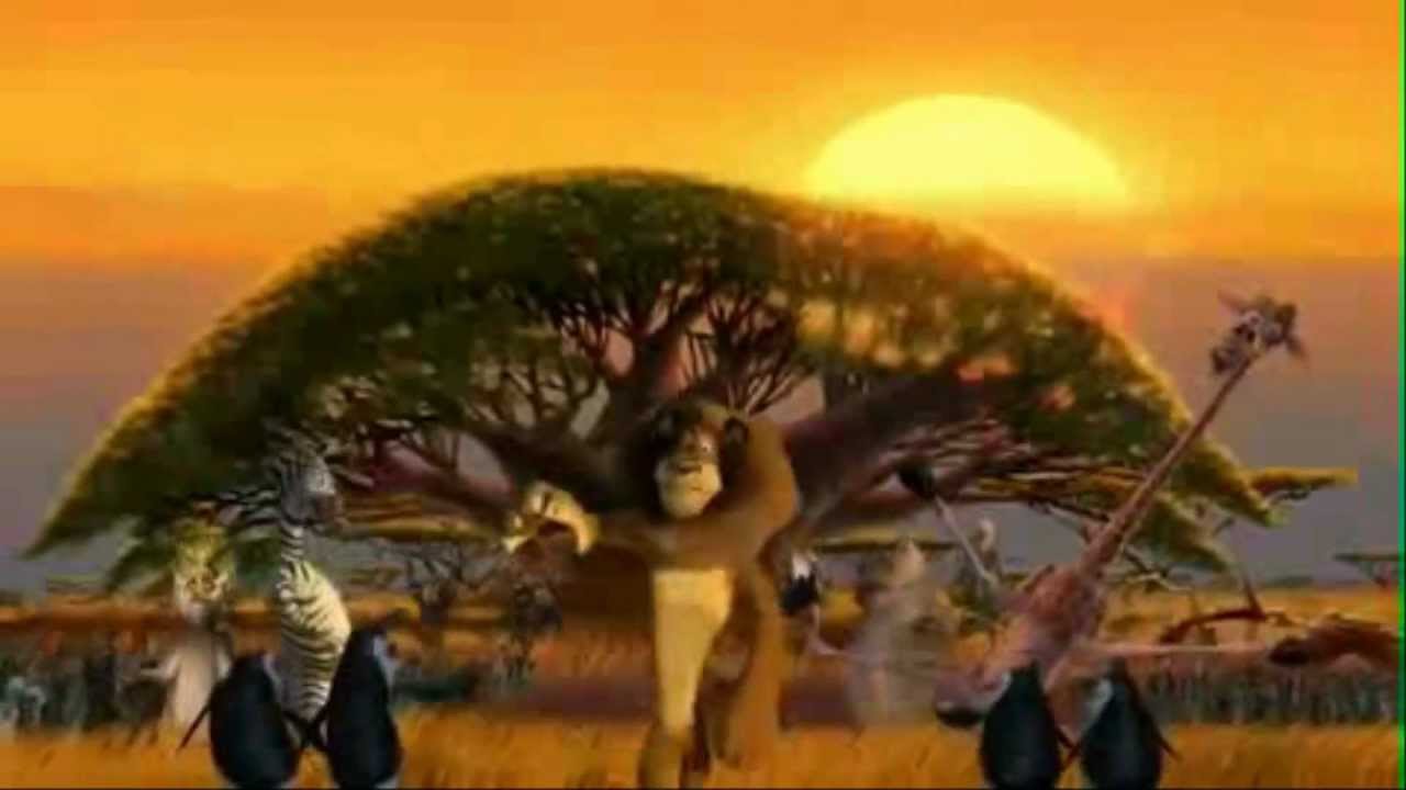Psy madagascar