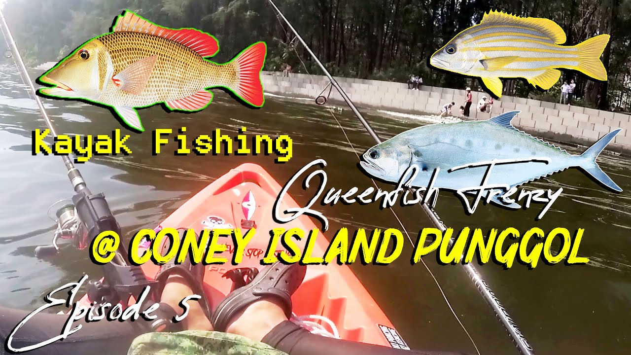 Kayak Fishing Singapore Episode 5 - Queenfish Frenzy at Coney Island Punggol