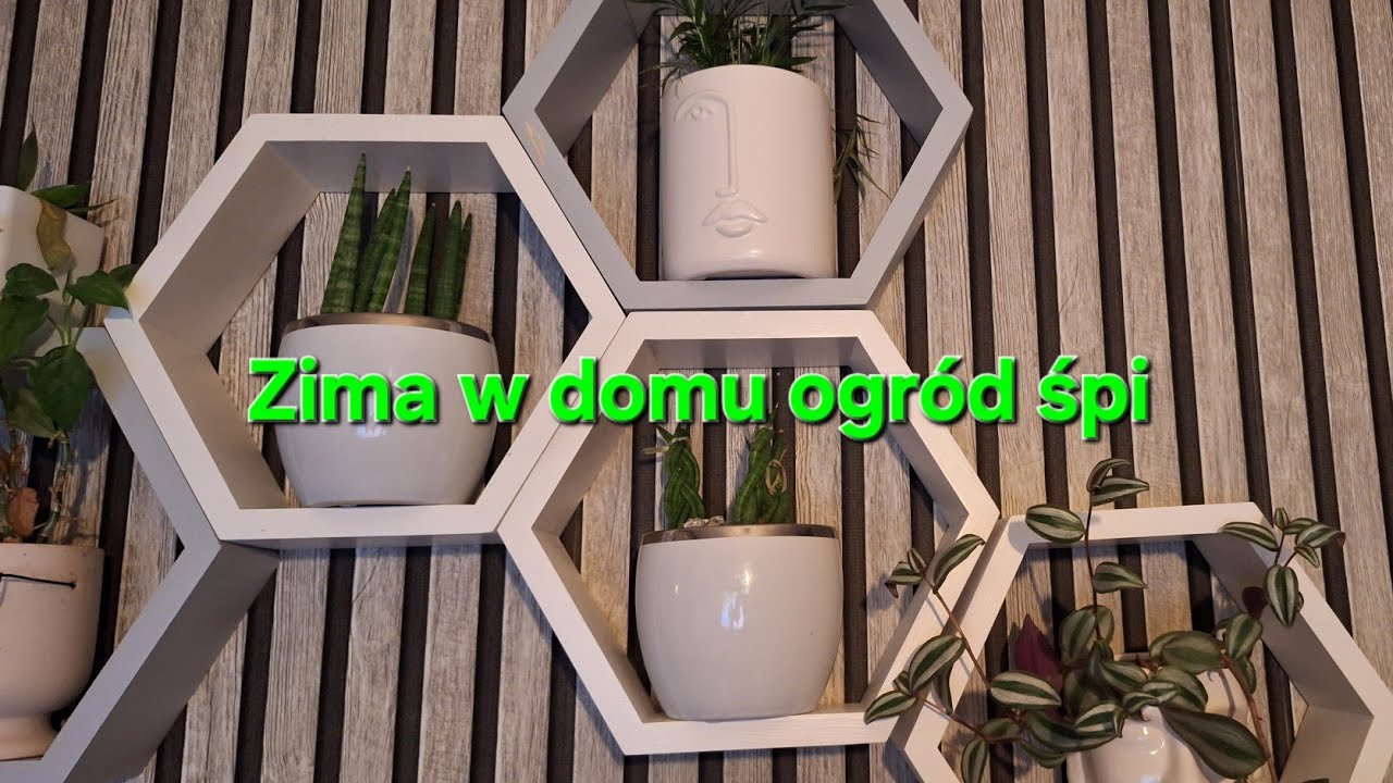 Zima w domu,ogród śpi