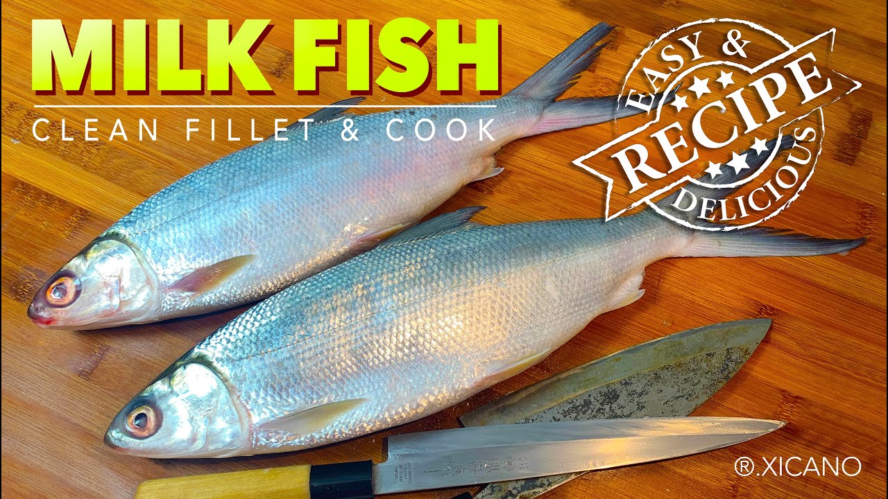 MILK FISH (Bangus) || How to clean, fillet & cook