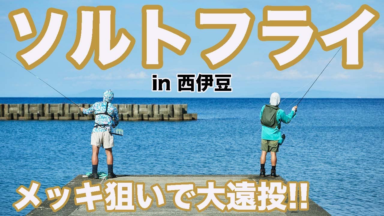 西伊豆の海でフライ釣りチャレンジ！ 一体何が釣れる？