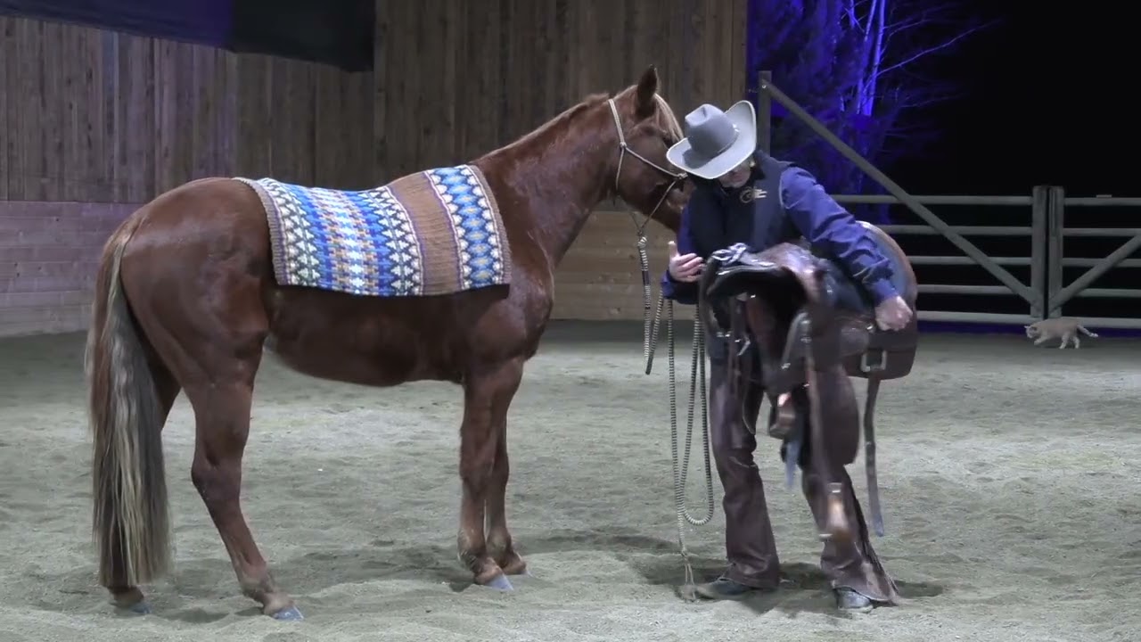 How to Saddle a Horse Properly (Most Riders Miss These Steps)
