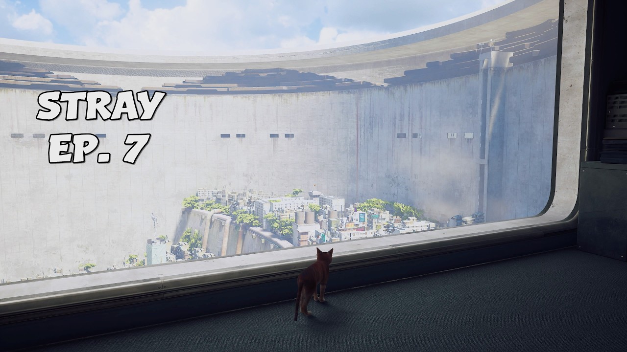 We made it outside!! 🌿 | Stray Ep 7