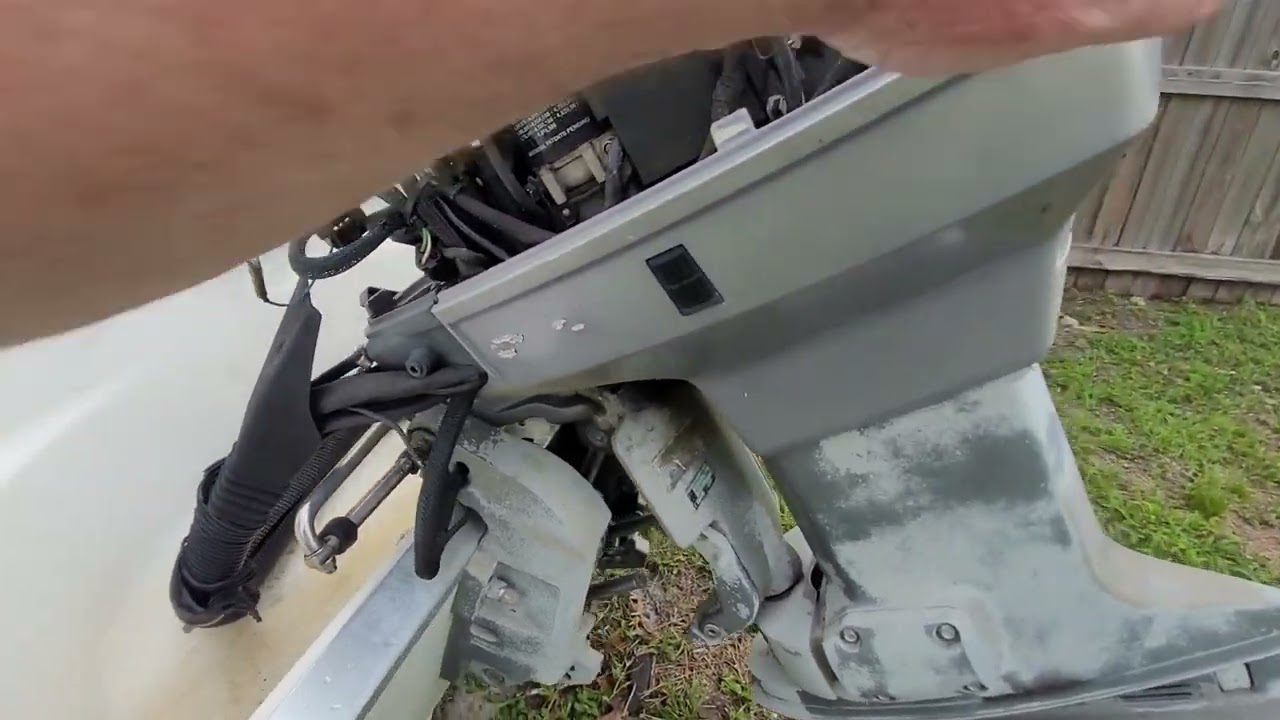 Will My 2000 Wellcraft 190 Come Back To Life? Part I
