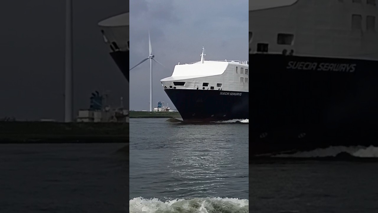 Multi PuRpose Vessel #trending #youtubeshorts #shortvideo #shorts #vessel #ship