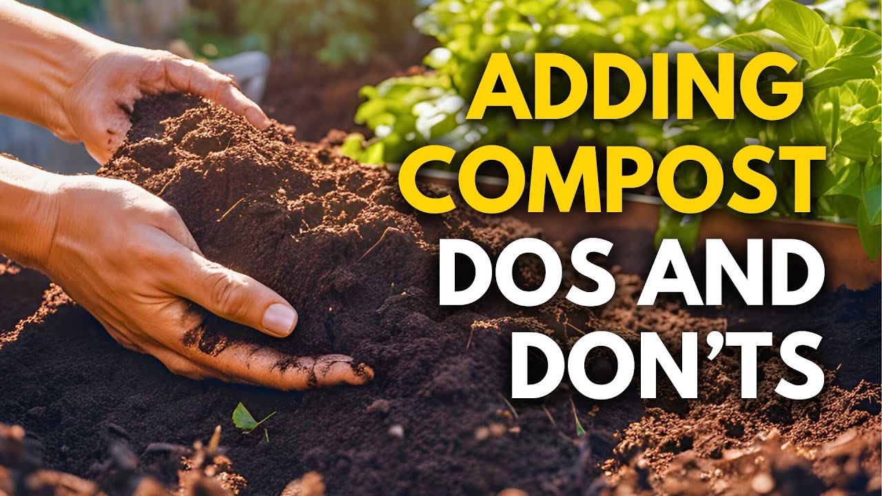 The Surprising Truth About Compost Nobody Tells You