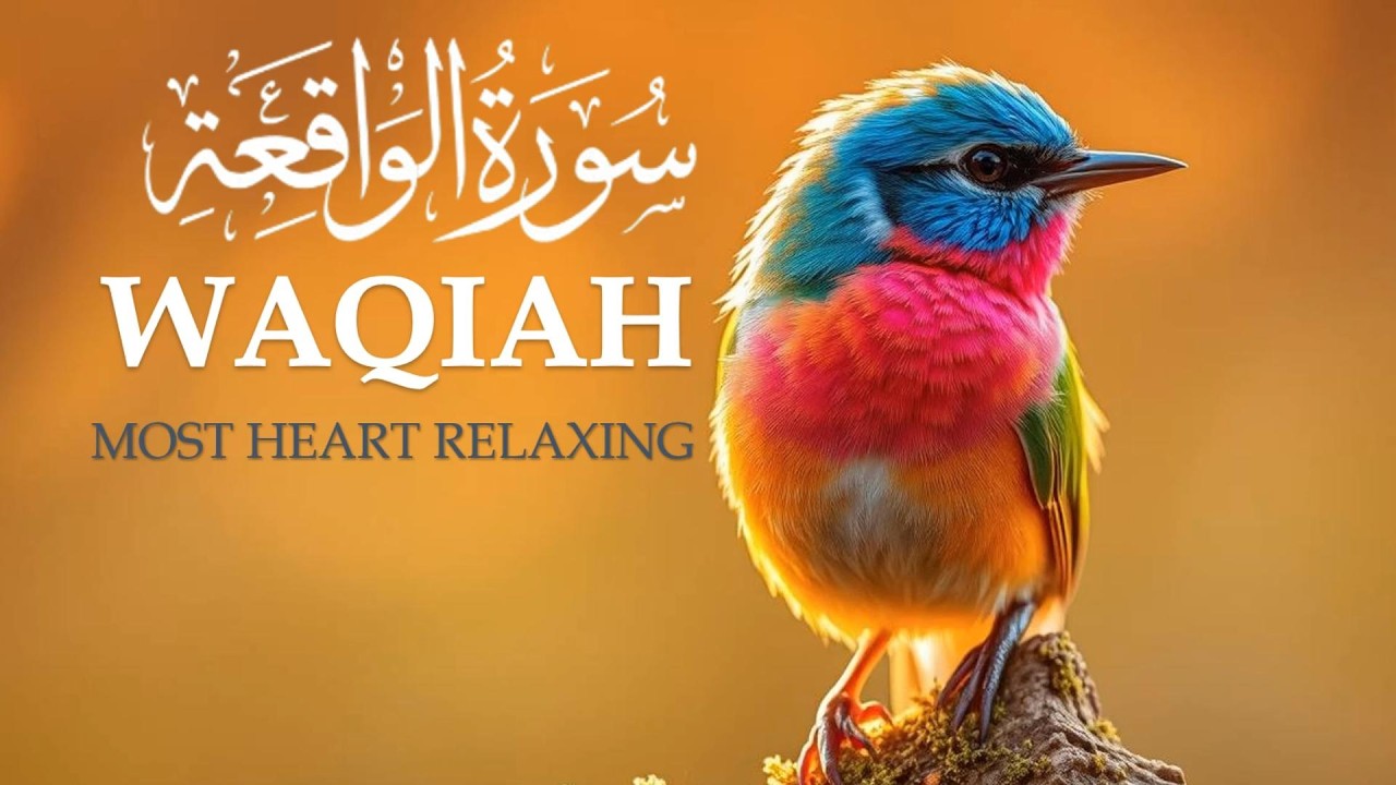 Best Relaxing Quran | Surah Waqiah سورة الواقعة | Amazing Voice | Cinta Quran