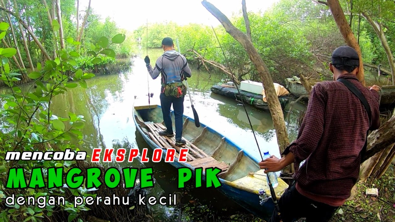 Coba mancing di MANGROVE PIK menggunakan perahu kecil