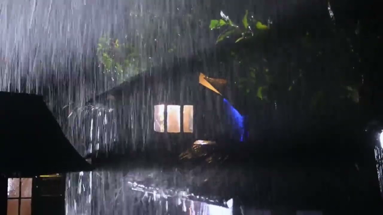 Heavy Rain on Leaves – Natural White Noise for Sleep