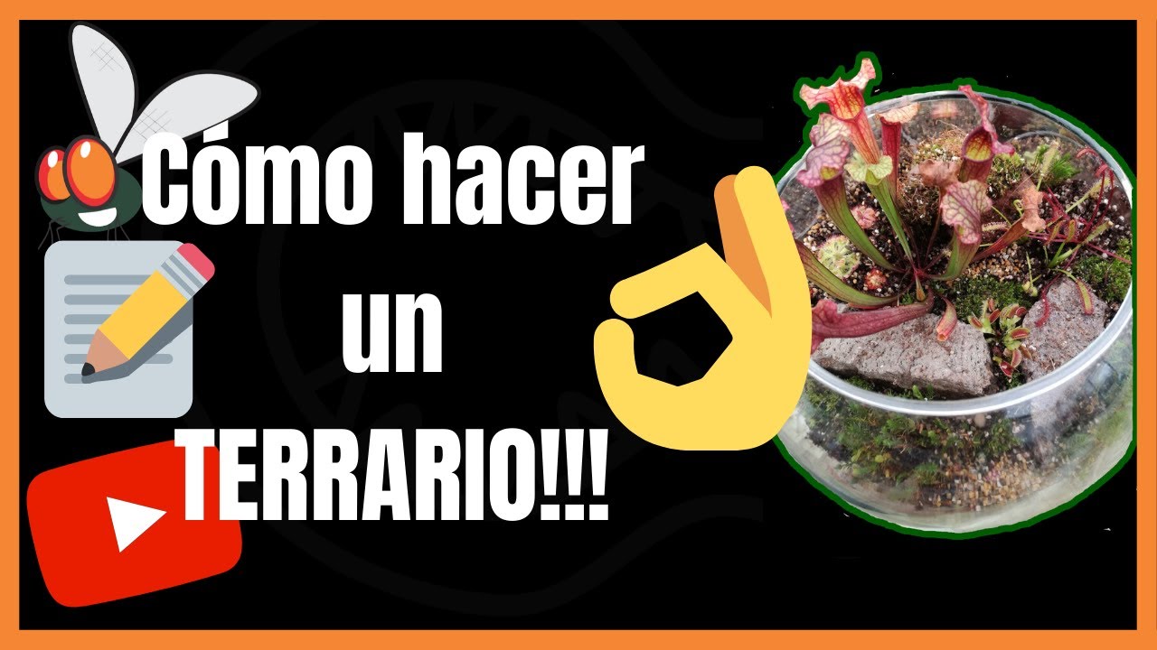Cómo HACER UN TERRARIO de plantas carnívoras!!! [2019]