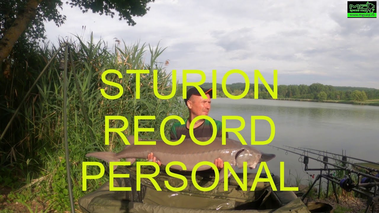 Record personal la sturion