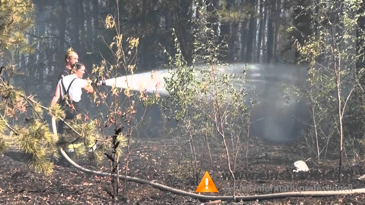 08 08 2013 Waldbrand in Weikersdorf WN