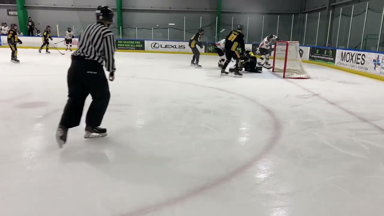Sophia Laue goalie highlights