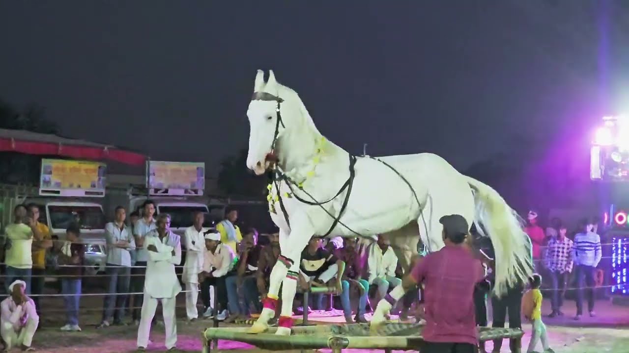 Tejal Ki Ghodi Ne Dhamaka Dance Kiya | Beri Mela 2025 Ki Vijeta बनी