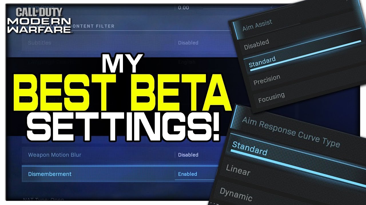 My Best Settings for the Modern Warfare Beta! (Aim Assist, Response Curves, & More!)