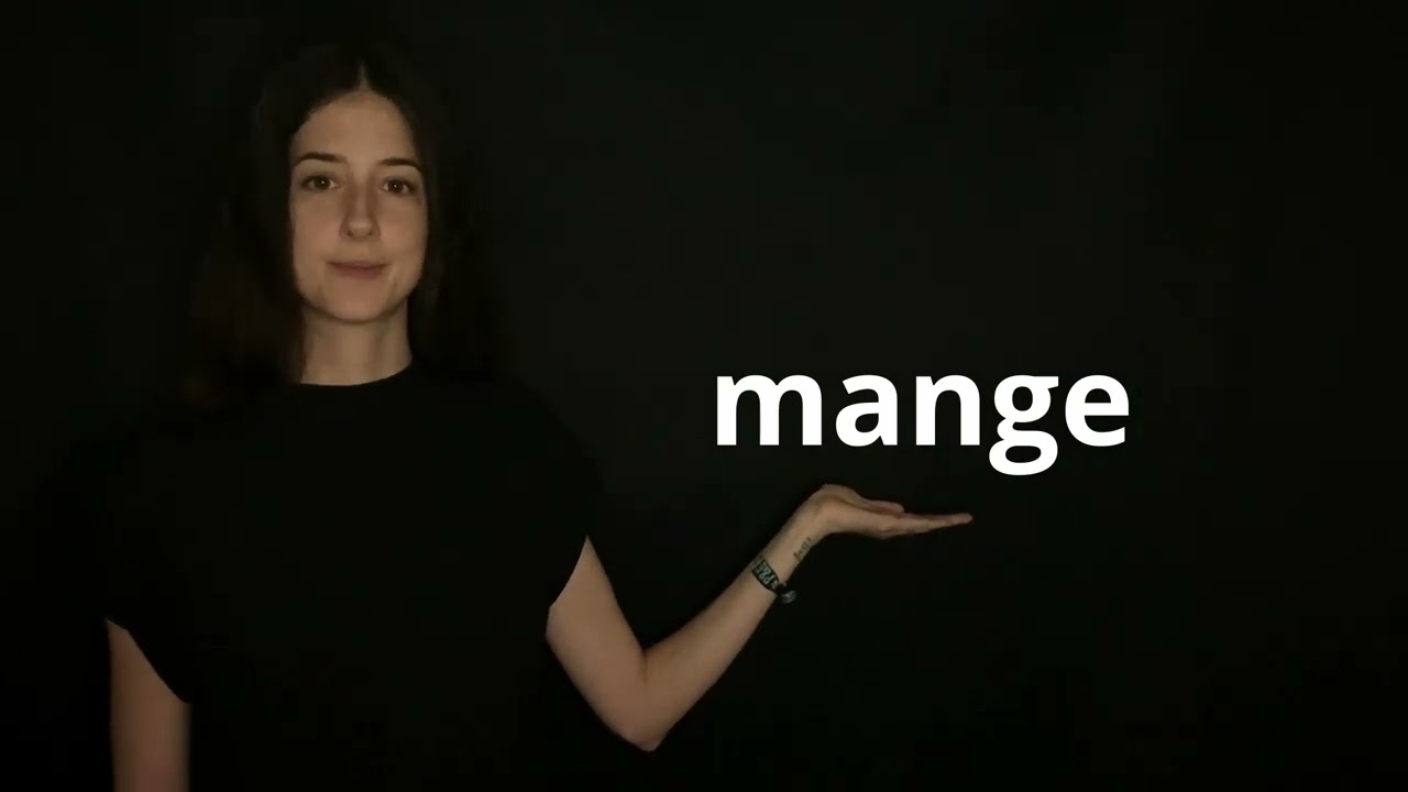 Det danske NG