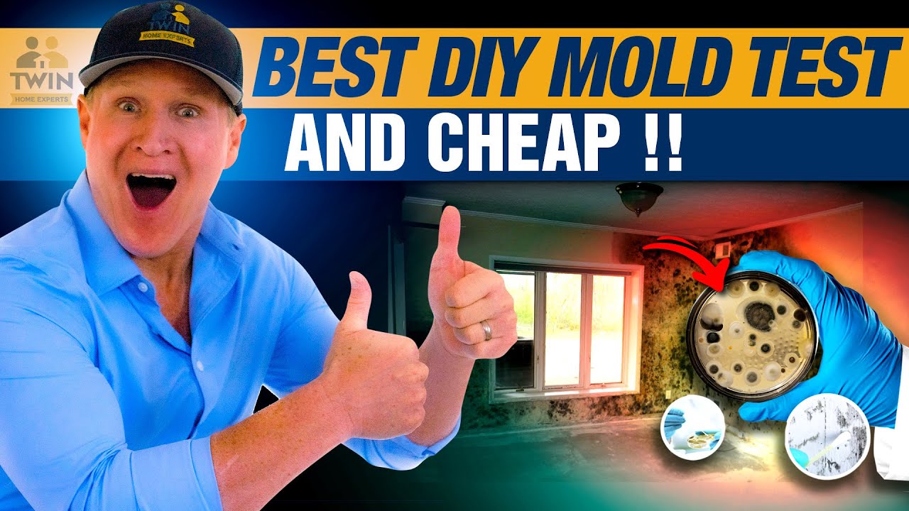 BEST & EASY DIY Mold Test for Under $50