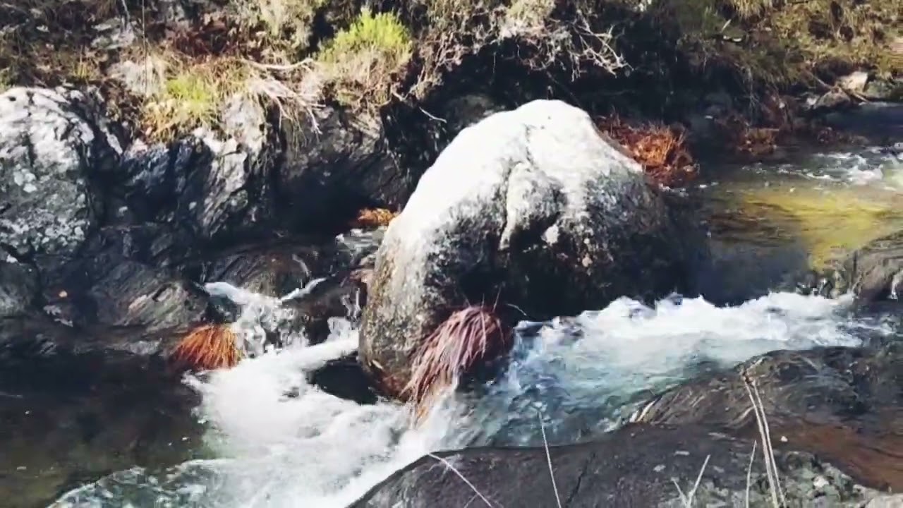 El Susurro del Río | Música Suave y Sonido Natural del Agua | Sonido de Río para Dormir
